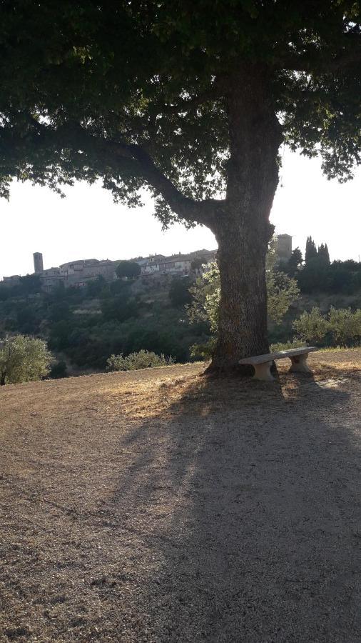 Poggio La Grognola Cannara