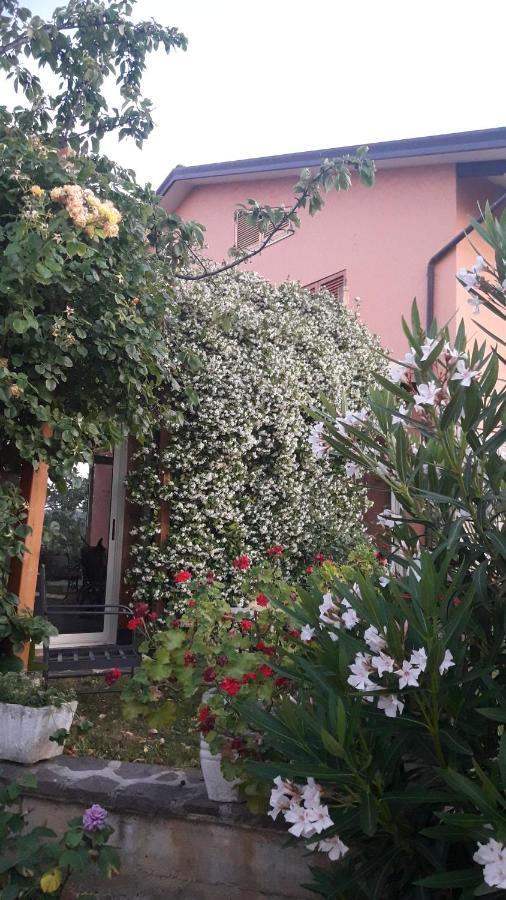 Poggio La Grognola *