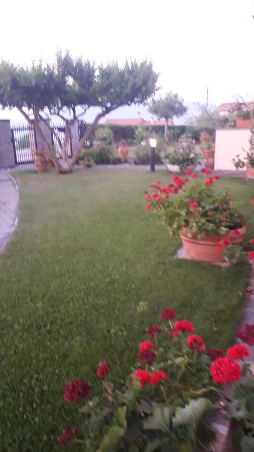Poggio La Grognola Bed & Breakfast *