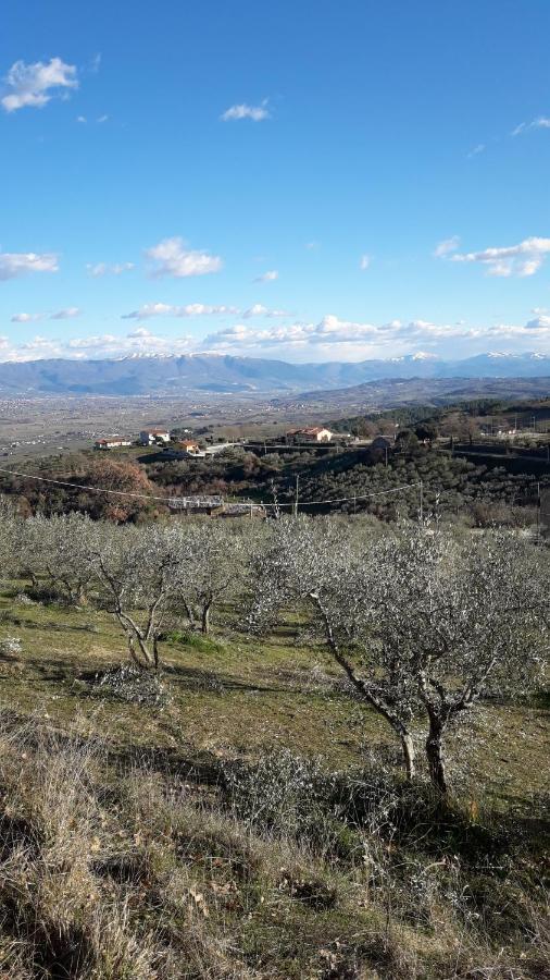 Bed & Breakfast Poggio La Grognola