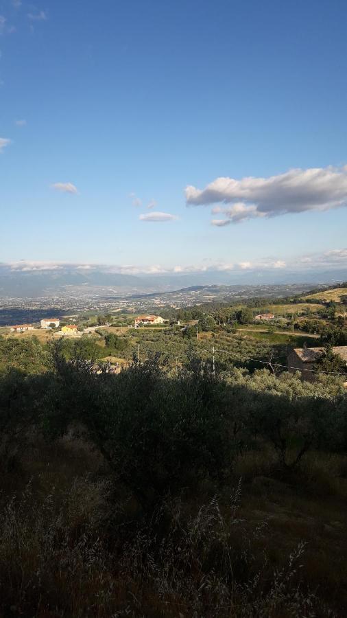 Poggio La Grognola