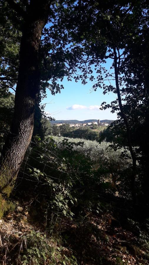 Poggio La Grognola Bed & Breakfast
