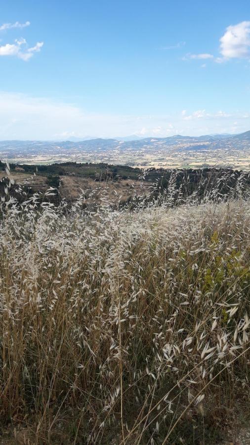 Poggio La Grognola Bed & Breakfast Cannara