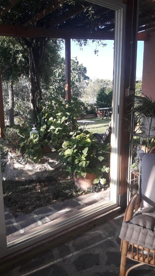 Poggio La Grognola Bed & Breakfast Cannara