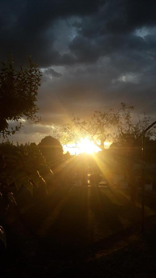 Bed & Breakfast Poggio La Grognola *