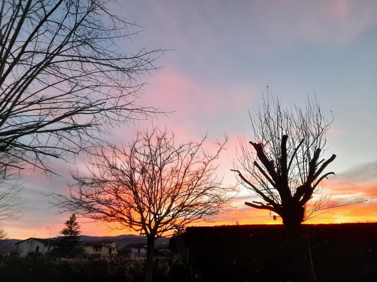 Poggio La Grognola Bed & Breakfast *