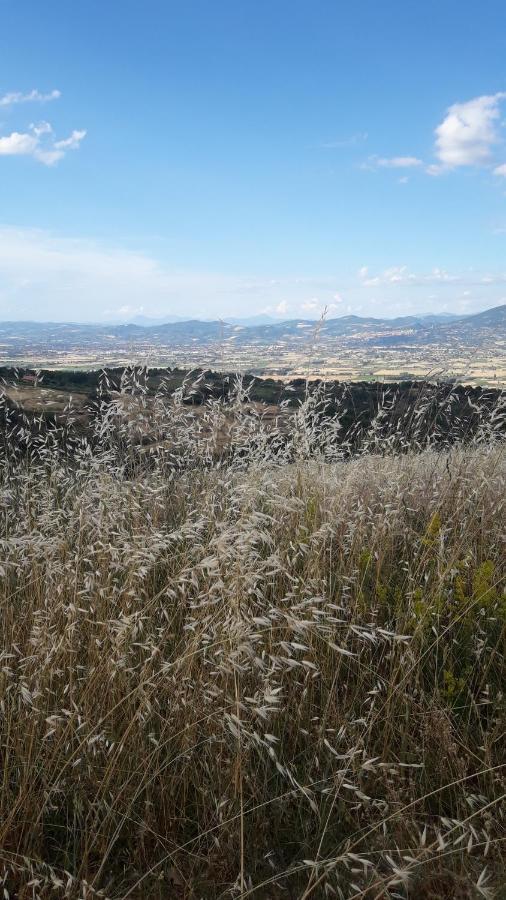 Bed & Breakfast Poggio La Grognola Cannara