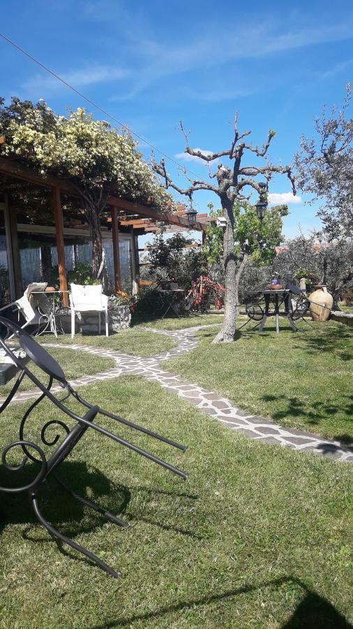 Poggio La Grognola Bed & Breakfast