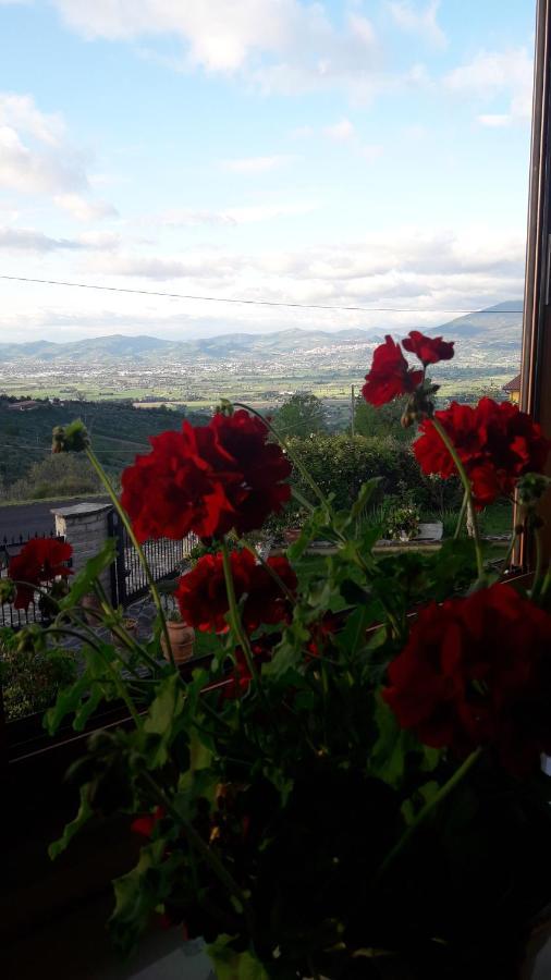 Poggio La Grognola *