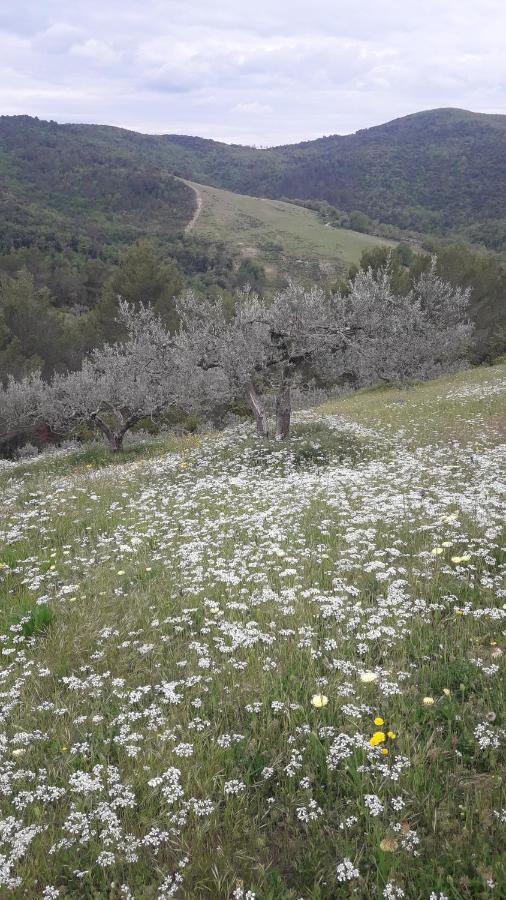 Poggio La Grognola *
