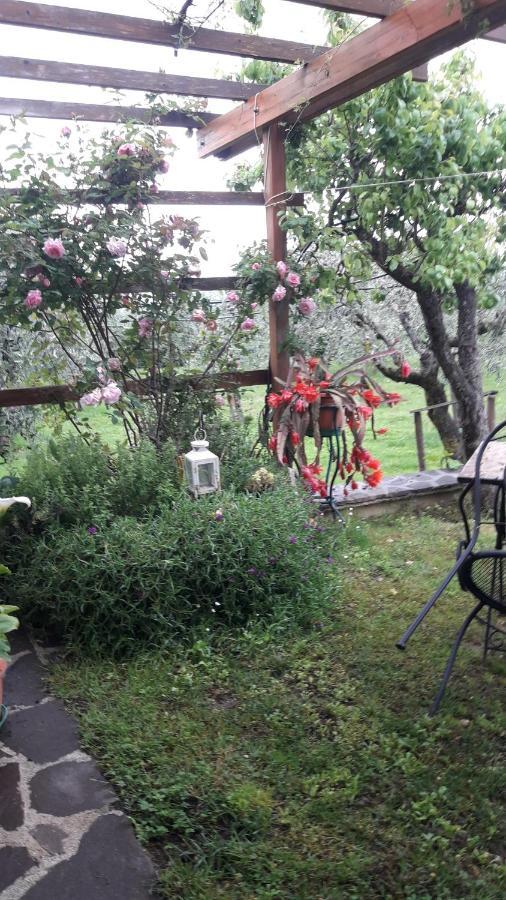 Poggio La Grognola Bed & Breakfast Cannara